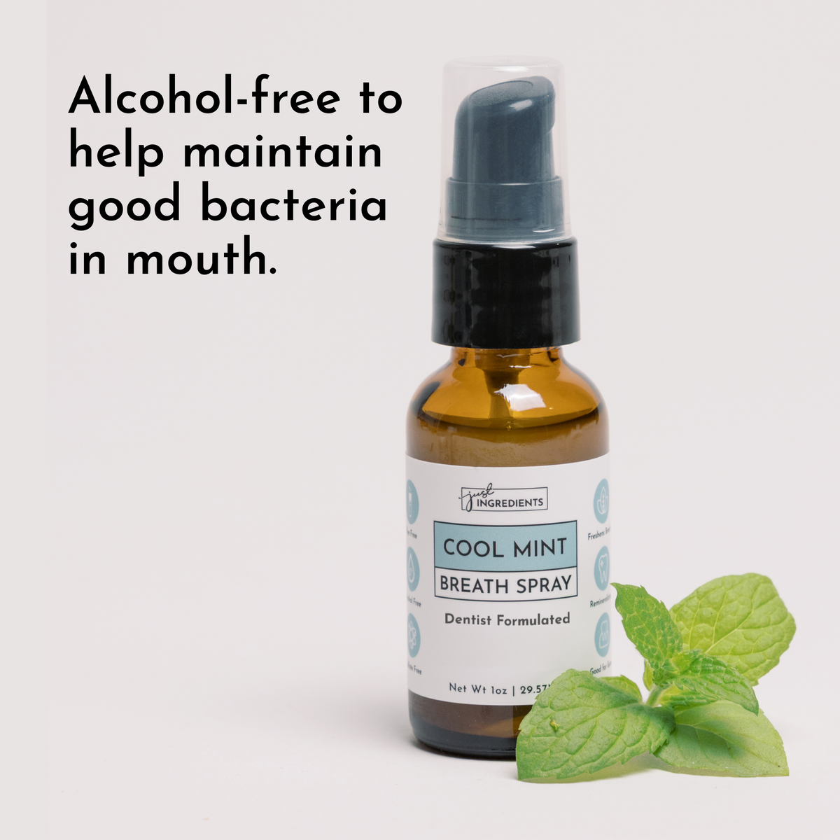 Just Ingredients Freshening Breath Spray - Cool Mint