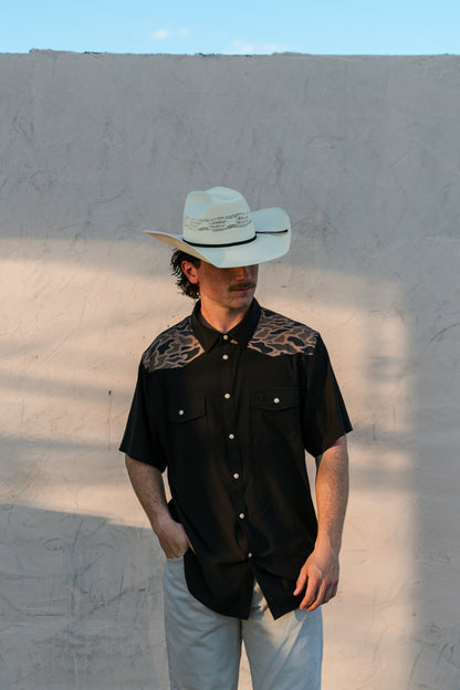 Burlebo | Performance Western