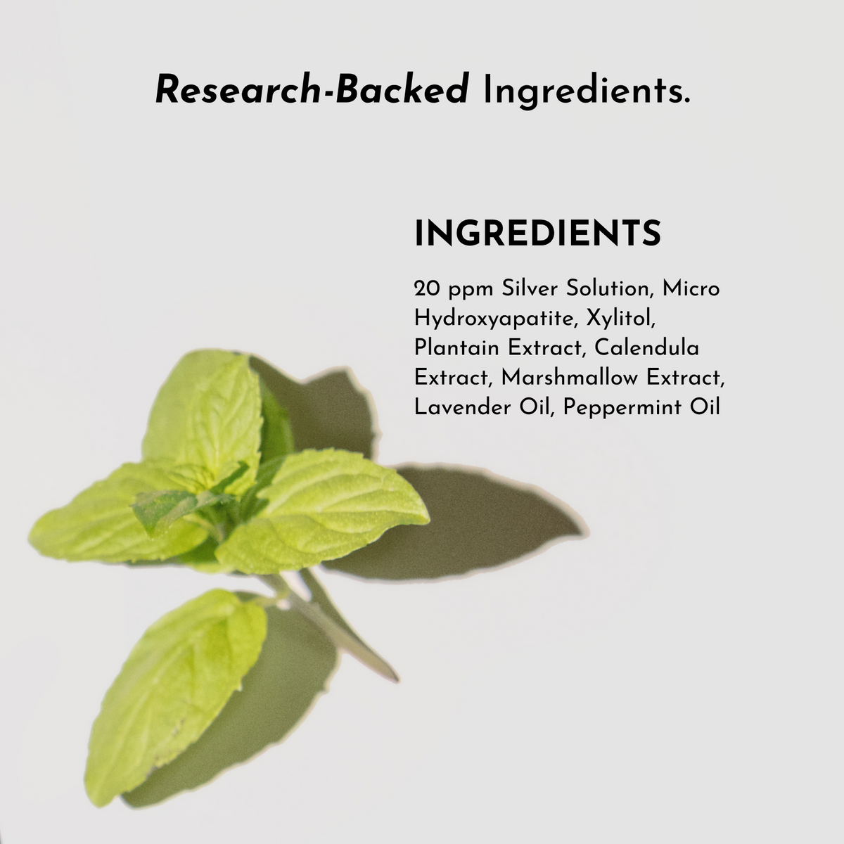 Just Ingredients Freshening Breath Spray - Cool Mint