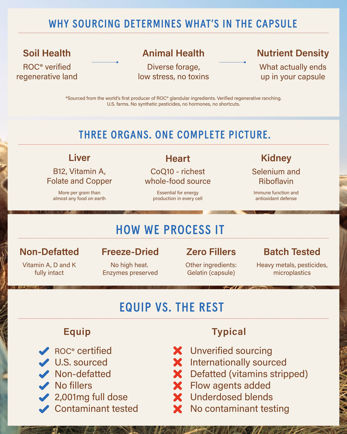 Equip | Grass-Fed Beef Organs