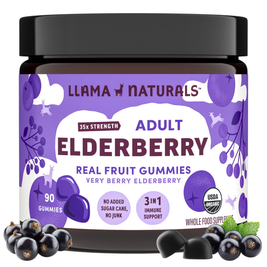 Adult Elderberry