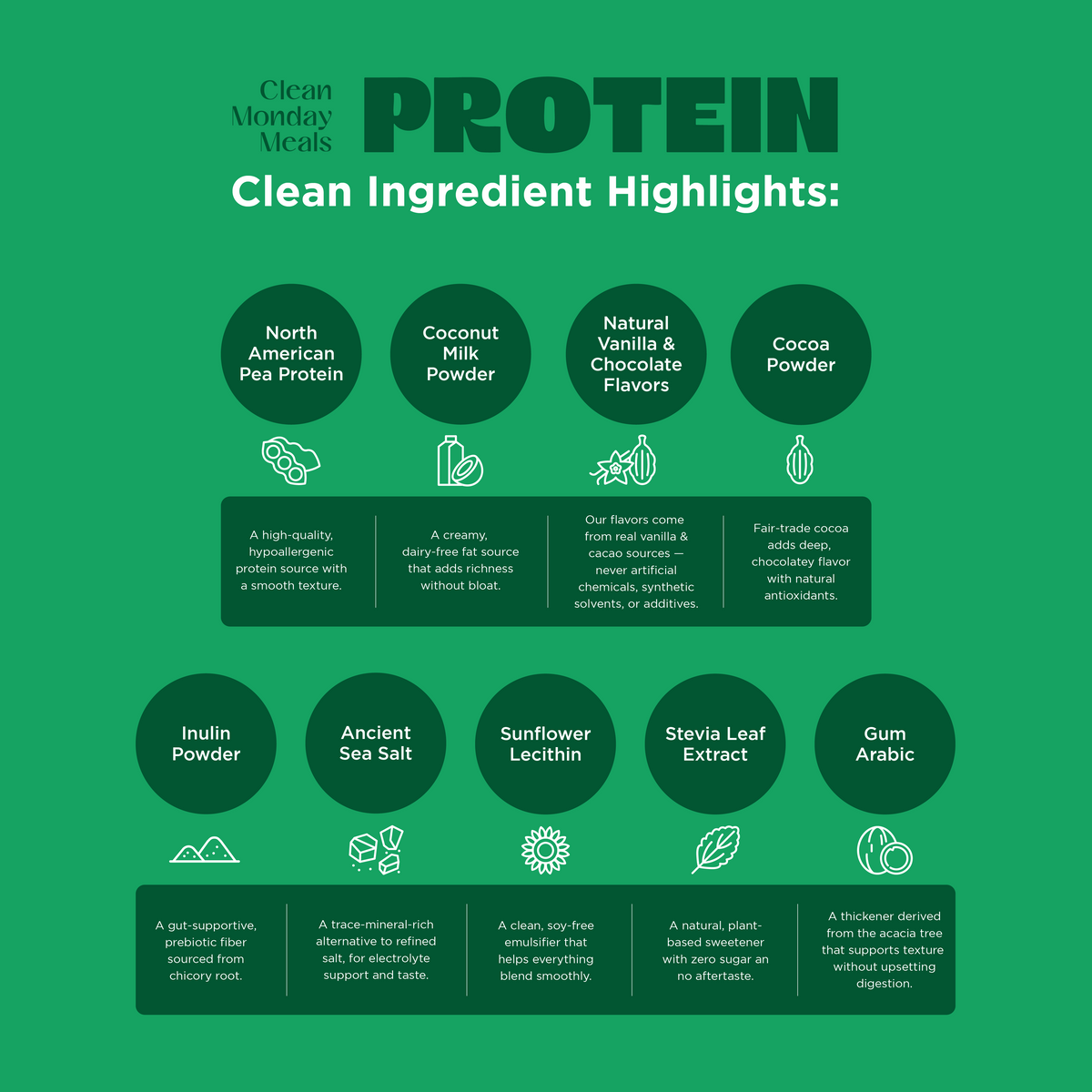 Vegan Protein