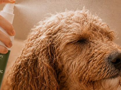 Dog Detangling Spray