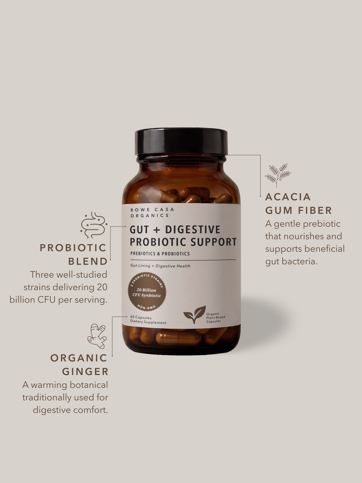 Rowe Casa | Gut + Digestive Probiotic, 60 servings