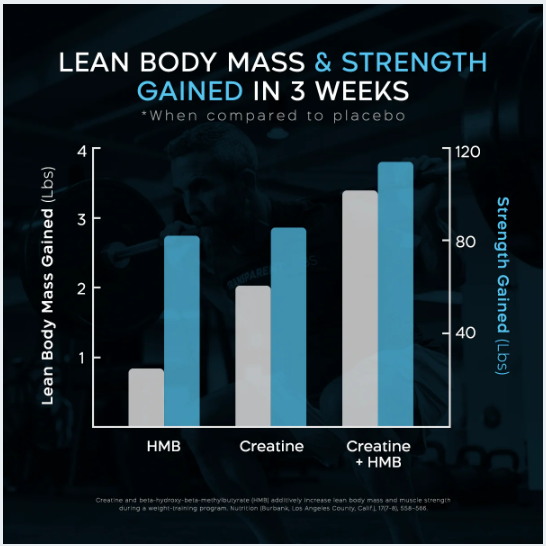 TL - Creatine HMB