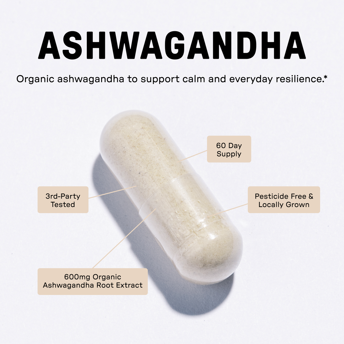 Just Ingredients Ashwagandha