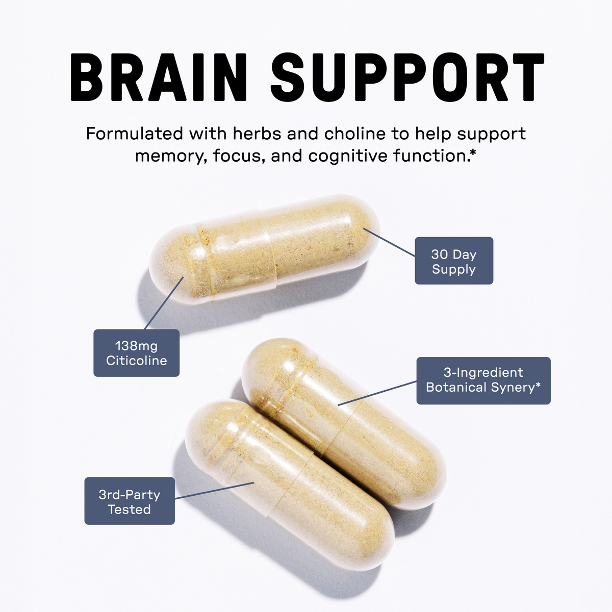 Just Ingredients Brain Support