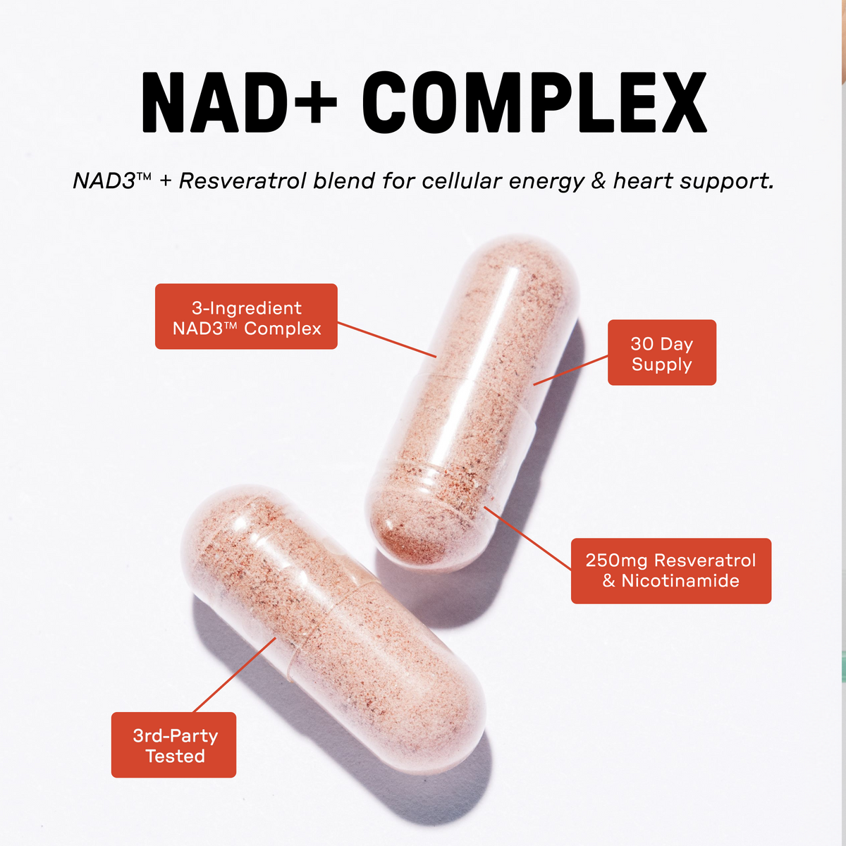 Just Ingredients NAD+ Complex
